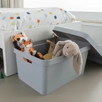 Curver - organizér Box Infinity s vekom a s držadlami Lisa 17L. - Farba sivá