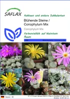 SAFLAX - Sukkulenten - Blühende Steine / Conophytum Mix - 40 Samen - Conophytum Mix