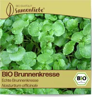 Brunnenkressen Samen Echte Brunnenkresse Kräuter-Samen Saatgut Brunnenkressensamen