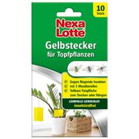 6 x 3 18 Stk. Nexa Lotte Silberfischchen-Köder Leim-Falle hochwirksam 