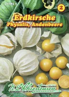 Physalis