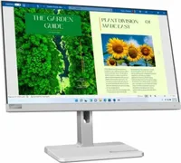 Lenovo L24m-40 - LED-Monitor - 61 cm (24") (24" sichtbar)