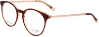 Ted Baker TB9196 172 TORTOISE/ORANGE 50/18/140 Damen Brillen