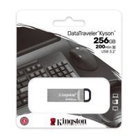 KINGSTON USB-Stick DataTraveler 80, USB 3.2, 256 GB