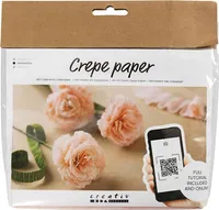 Creativ Company Mini Hobbyset Crepepapier Nelken