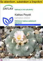SAFLAX Kultivačný set - Kaktus Peyotl - Lophophora williamsii - 20 Semená - S mini skleníkom, pestovateľským substrátom a 2 črepníkmi