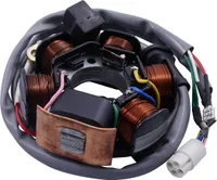 Lichtmaschine Stator kompatibel für Piaggio Zip SSL 25/Base/Fast Rider/SP LC -99