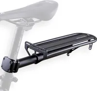 Sattelkolpe Rückenrücken -Ladung Packrock Rackbike für Bergfettgepäckträger