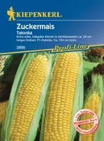 Kiepenkerl Saatgut Zuckermais Tatonka