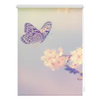 Lichtblick Rollo Klemmfix, ohne Bohren, Verdunkelung, Schmetterling - Rosa 90 x 150 cm