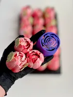 Tüllen, Tulpe für Spritzbeutel 3x set
