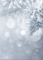 Motivpapier Briefpapier (Winter-5180, DIN A4, 100 Blatt) Weihnachten verschneiten Tannenäste