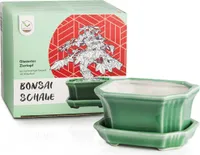 Bonsai Schale aus Keramik mit Untersetzer in Jadegrün - Bonsai Topf eckig für die perfekte Inszenierung Ihres Zimmerbonsais - 11 x 6,5 x 9 cm