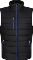 Regatta Professional - Weste für Herren RG9318 (XL) (Schwarz/Königsblau)