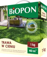 Trawnik zacieniający Trawnik zacieniający Nasiona traw Nasiona traw Nasiona traw 40m2 profesjonalny 1kg