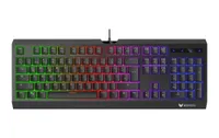 Rapoo V56S, Volle Größe (100%), Kabelgebunden, USB, Mechanischer Switch, QWERTZ, Schwarz
