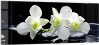 DEQORI Küchenrückwand Glas 125x50 cm 'Orchidee mit Zen-Steinen' Spritzschutz Bad Rückwand