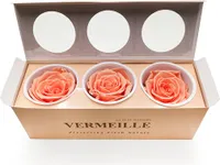 Stabilisierte Rose - Pfirsich - XL - 3 Stk