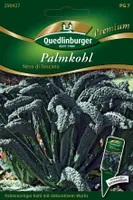 Quedlinburger Saatgut - Palmkohl Nero di Toscana - Samen - 290427