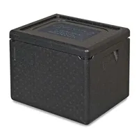 Thermobox (54,5 x 35 x 30 cm, Geeignet für: Lebensmittel