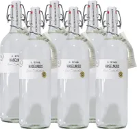 Birkenhof Haselnuss Nussbrand (6 x 1,0L)