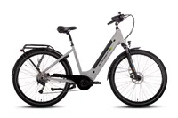 SAXONETTE Deluxe Sport E-Bike, 36V 11,6Ah 418 Wh Akku, 9Gang Kschaltung