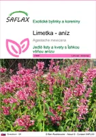 SAFLAX - Limetka - aníz - Agastache mexicana - 50 Semená