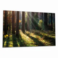 Wallario Herdabdeckplatte aus Glas, Größe 80 x 52 cm 2-teilig, Motiv Sonnenstrahlen im Herbstwald