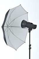 CLP Reflexschirm für Studioaufnahmen I Diffusor für Produktfotografie I In verschiedenen Farbvarianten erhältlich schwarz / weiß