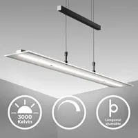 LED závěsné světlo Výškově nastavitelná závěsná lampa Jídelní stolní lampa Černé sklo 20W