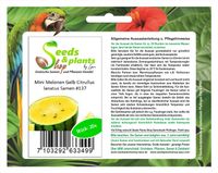 20x Mini Melonen Gelb Citrullus lanatus Obst Pflanzen - Samen #137