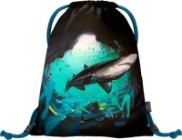 Baagl Turnbeutel für Mädchen, Jungen, Sportbeutel für Kinder, Teenager, Schule und Sport Schuhbeutel, Earth Sportsack (Shark)
