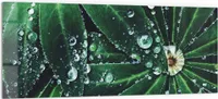 DEQORI Küchenrückwand Glas 125x50 cm 'Wasserperlenverzierung' Spritzschutz Bad Rückwand