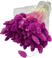 Trockenblumen, Kanariengras, Müslistrauß, Boho-Stil Violett