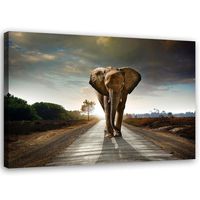 Top Bild Kunstdruck Fotoleinwand Wandbild XXL Afrika Elefant  100 cm*65 cm 319 