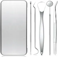 INF Dentalwerkzeuge, 5 Stück Picks für die Zahnreinigung Silber