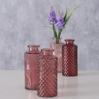Blumenvase im 4er Set aus Glas in Flaschenform mit Relief Veredelung Dekovase Blumenvase für Ihren Wohnraum -Rosa