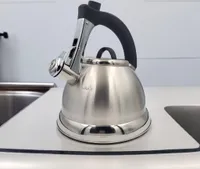 Pfeifender Wasserkessel Edelstahl 3l Teekessel Teeei iCool Griff