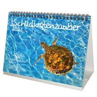 Schildkrötenzauber DIN A5 Tischkalender für 2023 Schildkröten - Seelenzauber