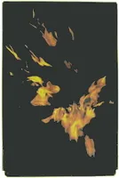 Zigaretten-Box - Motiv FIRE