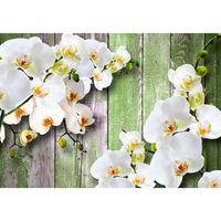 Fototapete Blumen Orchidee Tapete Wandbilder XXL Vlies Wandtapete 9466bP 