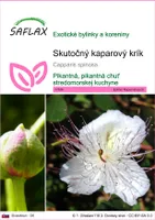 SAFLAX - Skutočný kaparový krík - Capparis spinosa - 25 Semená