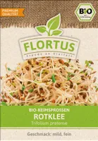 Keimsprossen Rotklee |Keimsprossen von FLORTUS