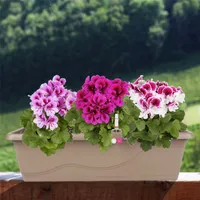 Květinový truhlík taupe 59cm se zavlažováním Balkonový truhlík Box na květináče Květináč