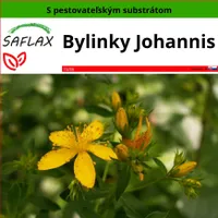 SAFLAX - bylinky Johannis - Hypericum perforatum - 300 Semená - S pestovateľským substrátom bez klíčkov