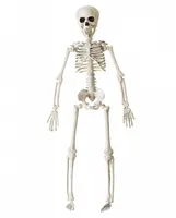 Hängefigur Skelett Torso 90cm