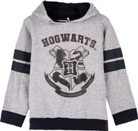 Harry Potter Hogwarts Kinder Hoodie Kapuzenpullover grau Gr. 122 - 158 158 (12 Jahre)