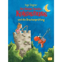 Der kleine DKN 29 - Drachenprüfung