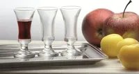 Schnapsgläser Likörglas Shotgläser 28ml 6 Stück Pinnchen Stamperl Shot Glas