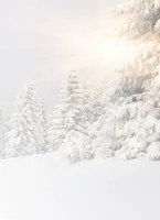 Motivpapier Briefpapier (Winter-5059, DIN A4 100 Blatt) Tiefverschneite Winterlandschaft mit Bäumen welche unter der Schneelast ächzen, die Sonne strahlt vom Himmel